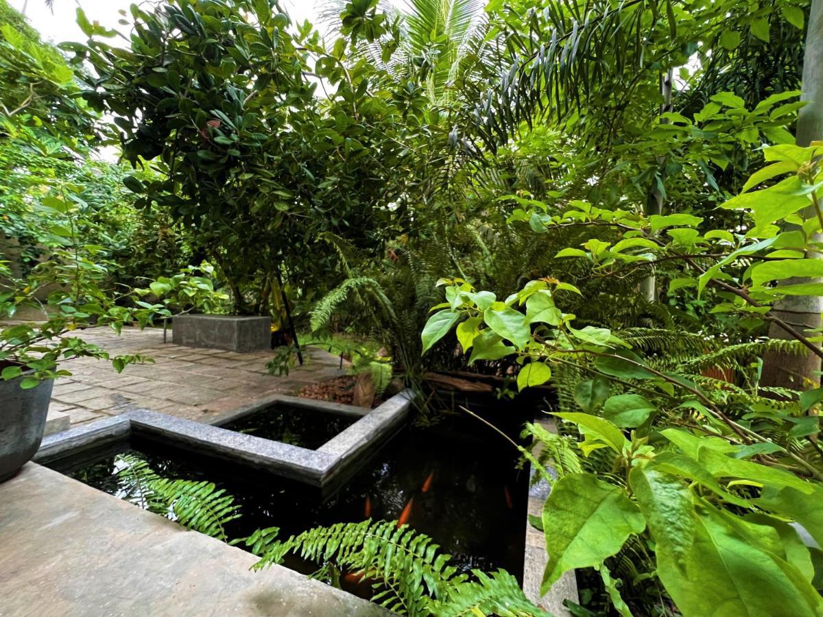 My Home Villa ฮิกคาดูวา ภายนอก รูปภาพ